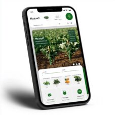 Rumah 7 Aplikasi Seluler Mazagri